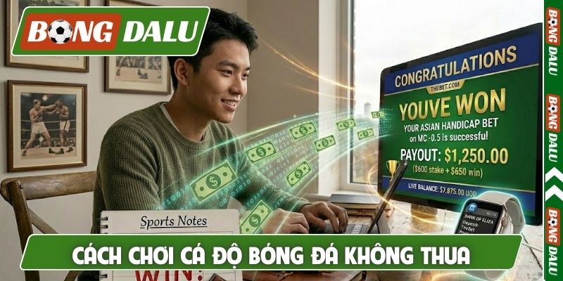 Cách chơi cá độ bóng đá không thua